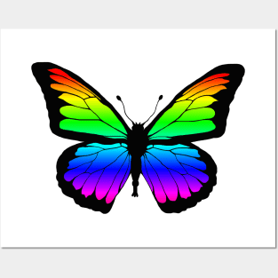 Rainbow Butterfly Posters and Art